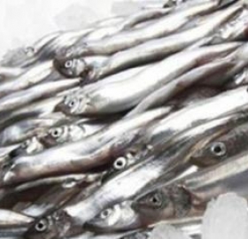 Рыба Мойва с/м