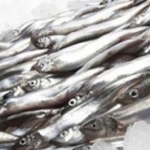 Рыба Мойва с/м