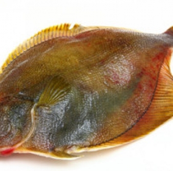 Рыба Камбала н/р б/б с/м (*22кг)