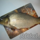 Рыбка Карп с/м