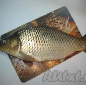 Рыбка Карп с/м
